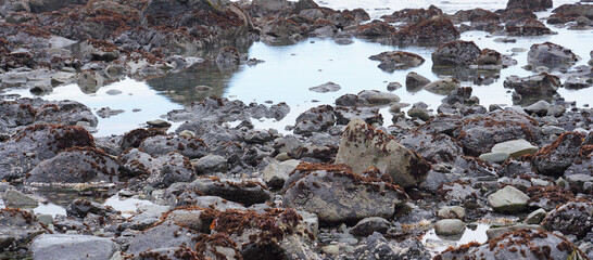 Rocky coastline shore in California