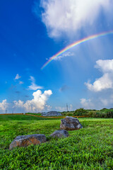 rainbow over the field with beautiful green grass blue sky and puffy white clouds