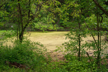 Hockhocking Adena Bikeway in the Athens Area