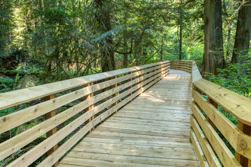Obraz premium Wooden bridge structure under construction in the middle of an old forest