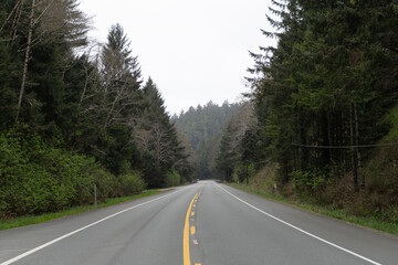 Empty highway road through forest trees in Oregon, USA