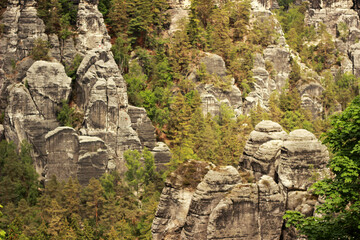 Sächsische Schweiz, Mountains, Nature