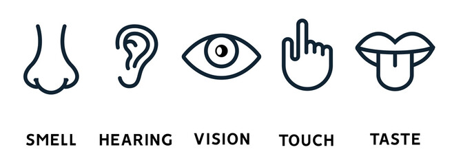 Five human senses vision eye, smell nose, hearing ear, touch hand, taste mouth and tongue. Line vector icons set