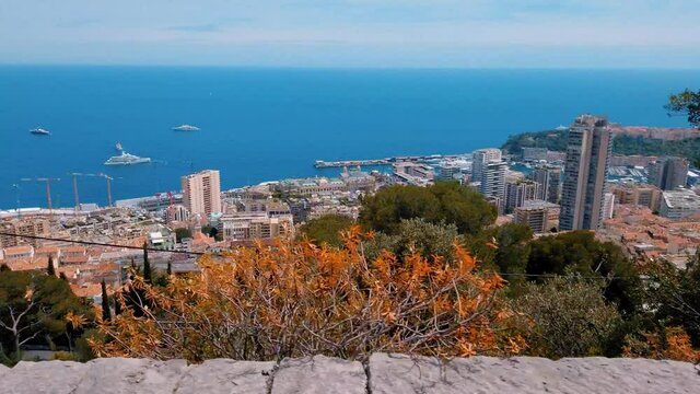Monaco Grand prix F1