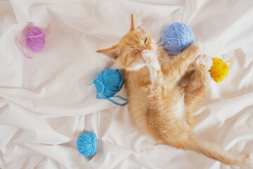 cute red kitten playing withballs of thread on white bed