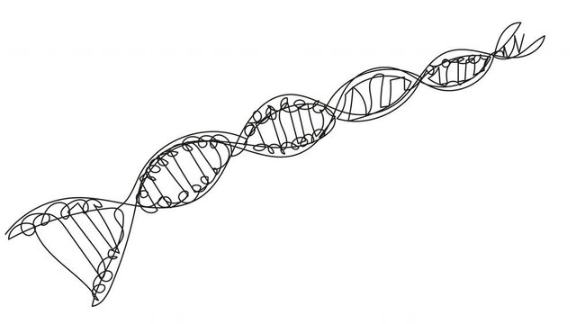 4K animation of drawing DNA code with one line. Simple biological spiral. Presentation, explainer about experiments on the human gene. DNA contour, motion video. whiteboard, self-driving, presentation