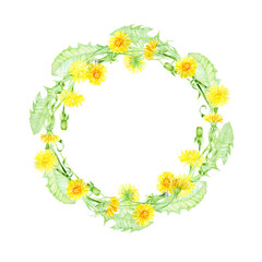 Watercolor round frame from dandelions, leaves, buds and stems. Wreath of bright summer flowers for invitation, menu, greeting cards