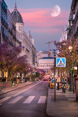 Fototapeta premium Madrid, Spain, March 26, 2019. Vertical view of the streets of the center of Madrid, the sky is edited, a dreamy sky.
