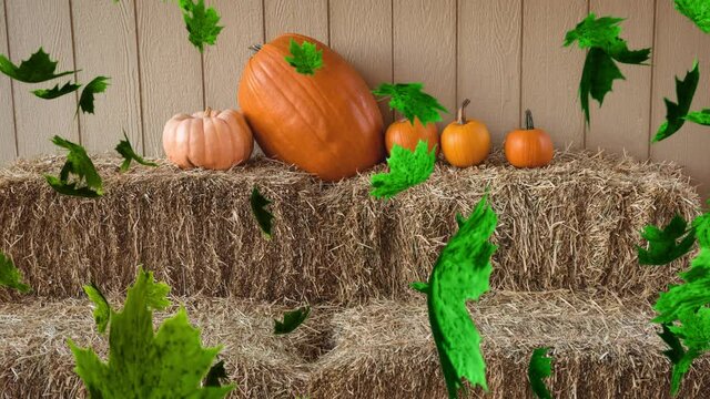 Animation of autumn leaves falling over pumpkin patch