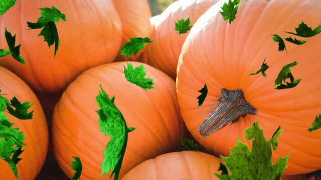 Animation of autumn leaves falling over pumpkin patch