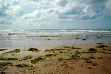 Summer beach and sea. sunrise on the beach. beautiful summer scenery. calm waves on the water. clouds on the sky. wide panoramic view