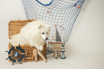 nautical studio setup for birthday photo shoot