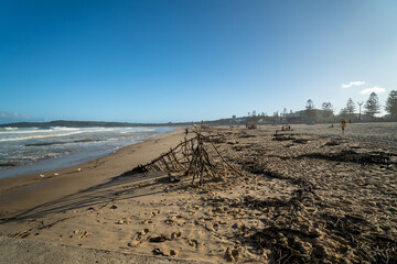driftwood on the beach washed up from storm