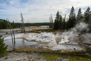 Fototapeta na wymiar A geyser, steam and water boils from the ground in the well known preserve park