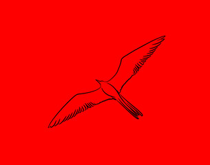 flying red bird in the red sky
