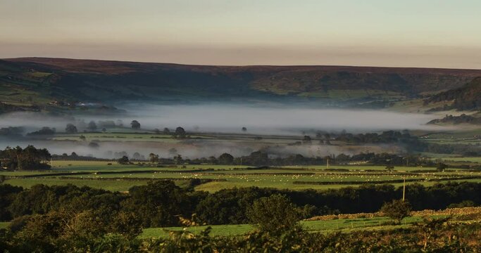 North York Moors Danby Dale Time Lapse withy sheep grazing and mist on the gound, evaporating in the early morning sun