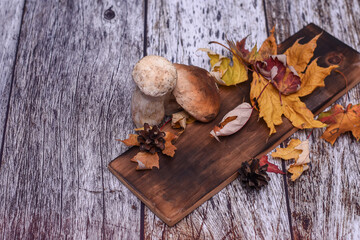 autumn mushroom composition. white boletus mushroom on a board on a wooden background with autumn leaves.
