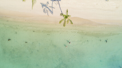 Coconut Tree Shadows on the beach green water swimming sand jungle mountain shore copy space