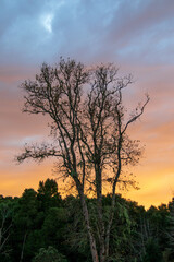 Early winter sunrise setting over the skyline of the forests on the Garden Route in South Africa