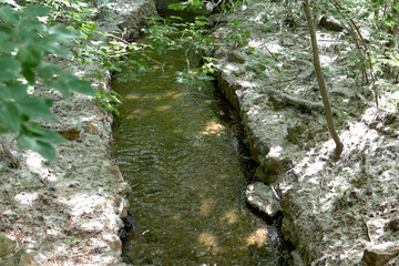 A water channel in a wooded area. Down from the trees.