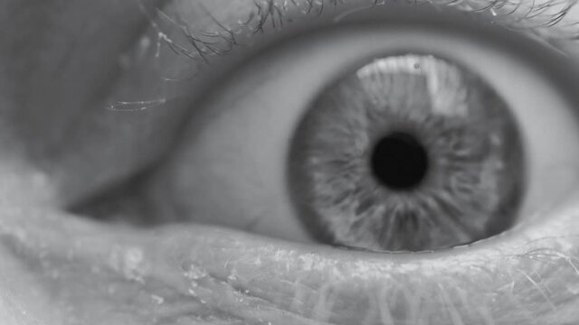 Eye in black and white, blinking and moving rapidly, displaying a state of surprise and anxiousness. Different emotions concept.