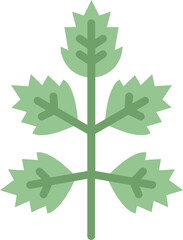 elder leaf flat icon