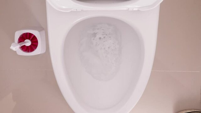 flush, lavado, WC, cuarto de ba&ntilde;o, aseado, desinfecci&oacute;n, limpiadores, blanco, higiene, aseo, toilette