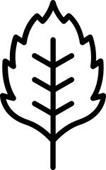 birch leaf outline icon