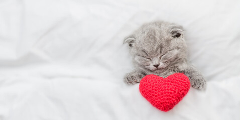 Cute kitten sleeps and hugs red heart on a bed under warm white blanket. Valentines day concept....