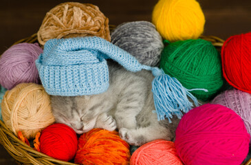 Cute kitten wearing warm hat sleeps inside a basket with clews of thread