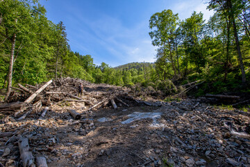 Ecological catastrophy. Fallen trees due to the strong flow of water in the mountains. A large ravine in the Far Eastern taiga due to flooding.