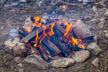 Close-up. A taiga bonfire built by tourists. Fireplace of stones in nature.