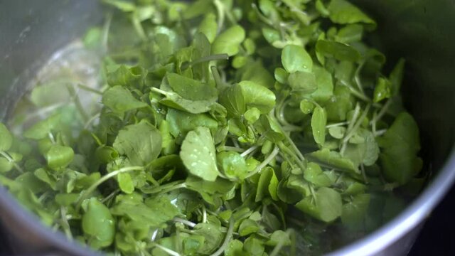 Watercress Soup Being Blended. Slow Motion Stick Blender Making Stock In Pot. Organic Plant Based Raw Vegan Food. Green Fresh Lunch Recipes. Watercress Being Cooked. Healthy Vegetarian Foods.
