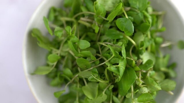 Watercress Rotating In Bowl. Macro 4k Shot Of Organic Plant Based Raw Vegan Food. Green Fresh Salad Recipes. Spinning Watercress On Plate. Healthy Vegetarian Foods.