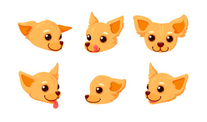Fototapeta premium Chihuahua smiling face with tongue. Head of a puppy isolated in white background. Vector illustration in cute cartoon style