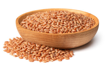 raw short-grain brown rice in the wooden bowl, isolated on white background