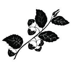 Black silhouette of a branch of hazel with nuts. Vector illustration for cutting out.