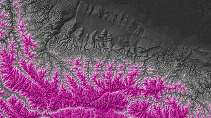 Black and Pink Digital Elevation Model