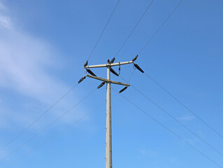 single telephone pole with wires against blue cloudy sky