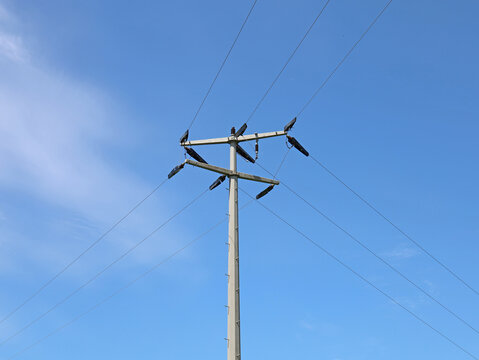 single telephone pole with wires against blue cloudy sky