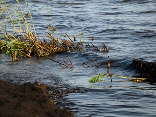 Oil pollution near the sea coast.Ecology. Environmental pollution.