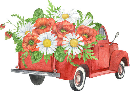 Watercolor retro truck. Vintage farm truck with daisy, strawberry. Vintage transport