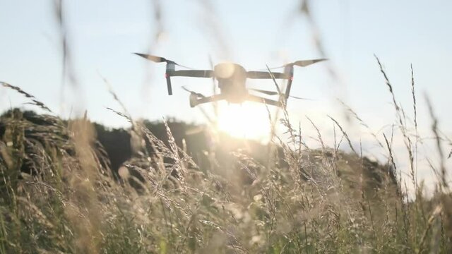 Drone flying over a field of long grass at sunset slow motion