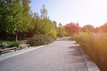 Path inside autumn park in northern China