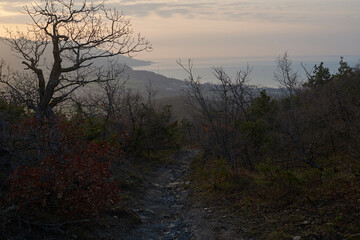 The sunrise over the calm sea casts rays of orange light into the air as the setting sun penetrates through the clouds into the picturesque calm seascape,