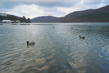 The sunrise over the calm sea casts rays of orange light into the air as the setting sun penetrates through the clouds into the picturesque calm seascape,