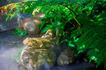 blur nature background of water droplets scattered under the leaves, wooden bridges, scenic views, beautiful landscaping