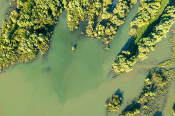 Natural flood in floodplain of the Drava River