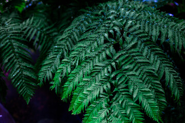 close-up natural background of waterfall On the edge of the cliff, surrounded by rocks, there are various flowers and mist floating in a blur.