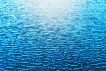 The water waves at the swamp had a soft sunlight in the evening.